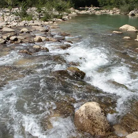 Colombino * 시에나