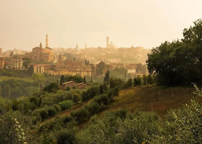 Colombino 팜스테이