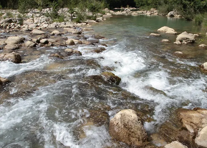 Colombino * 시에나