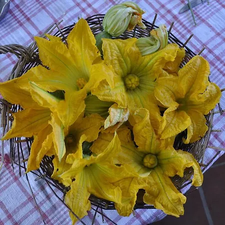 Agriturismo Colombino *